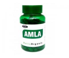 Buy Herbal Amla Powder Capsules - Amla Fruits Capsules Bottle In USA | Nutraorganix.com